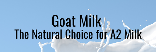 Goat Milk: The Natural Choice for A2 Milk