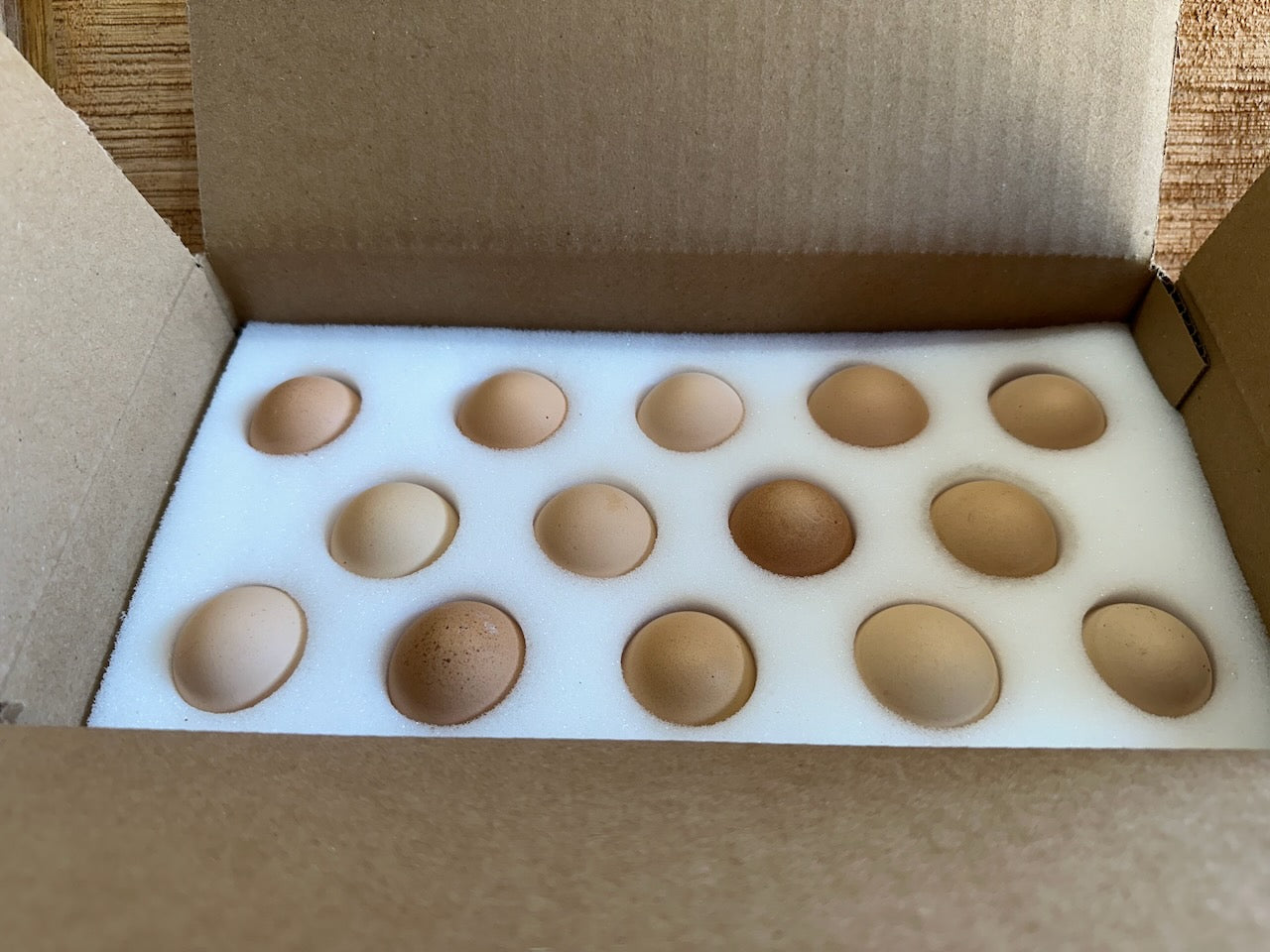 Eggs in shipping box with foam shipper