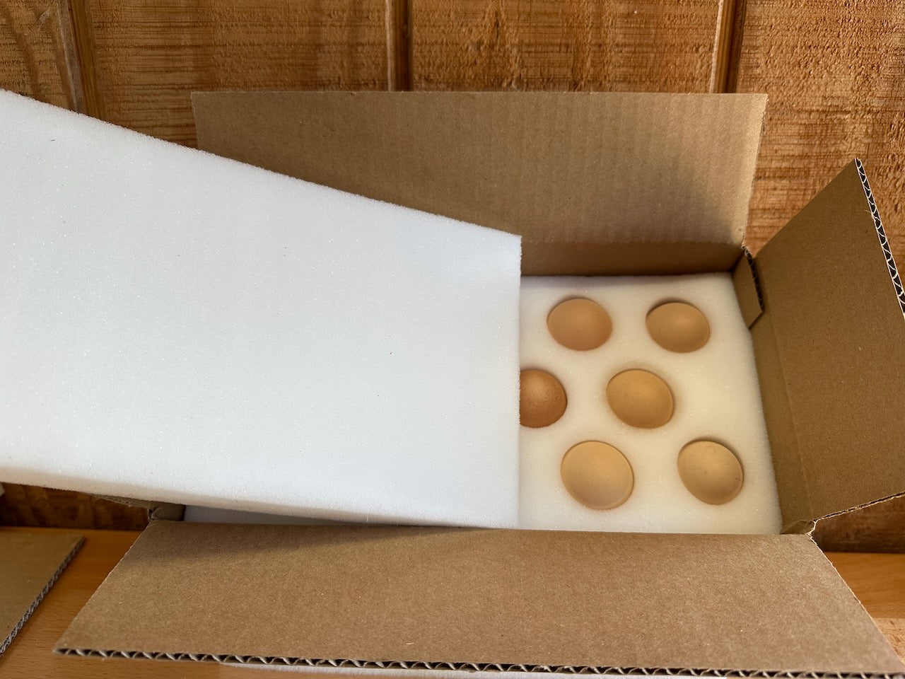 Eggs in shipping box with foam shipper