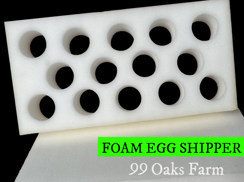 Foam Egg Shipper