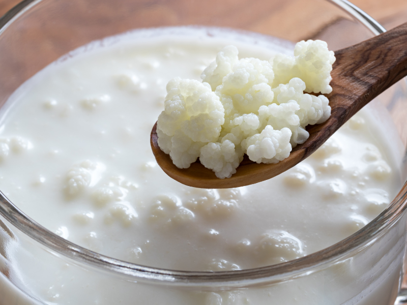 Kefir Grains